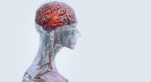 התרופה האנטי-פסיכוטית JNJ-37822681, אנטגוניסט לדופמין D2 המתפרק במהירות, פועלת כפותחת תעלות עצביות מסוג Kv7- פוטנציאל לשימוש מחדש כטיפול באפילפסיה