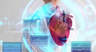 דאוקוסטרול מפחית דלקת חריפה ופיברוזיס לאחר אוטם לבבי באמצעות ויסות החלבון ZBTB16