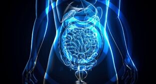 מתן פומי של הפרין במשקל מולקולרי נמוך מקל על קוליטיס באמצעות חיזוק מחסום הרירית במעי בתיווך מטבוליטים מיקרוביאליים של טריפטופן