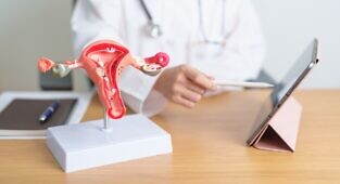 אנטרולקטון מגביר את יעילות גמציטבין בסרטן שחלה אפיתליאלי ומשפר דיסביוזה במעי